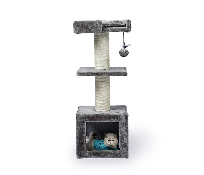 Küçük Kedi Ağaçları